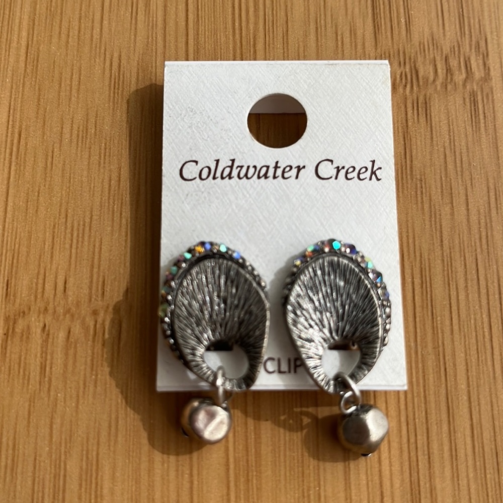 Clip on earrings